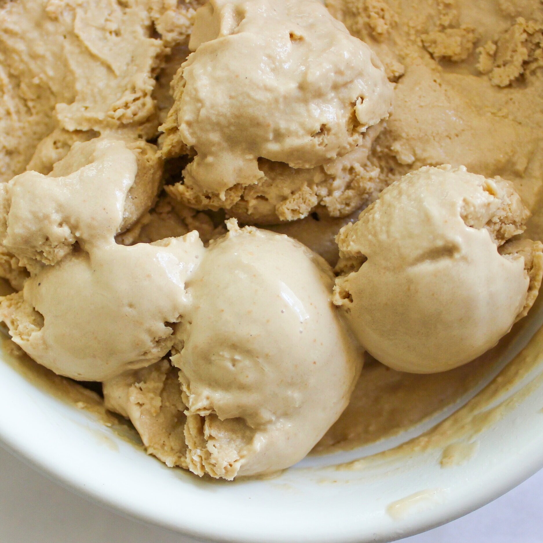 Vegan Coconut Sugar Ice Cream