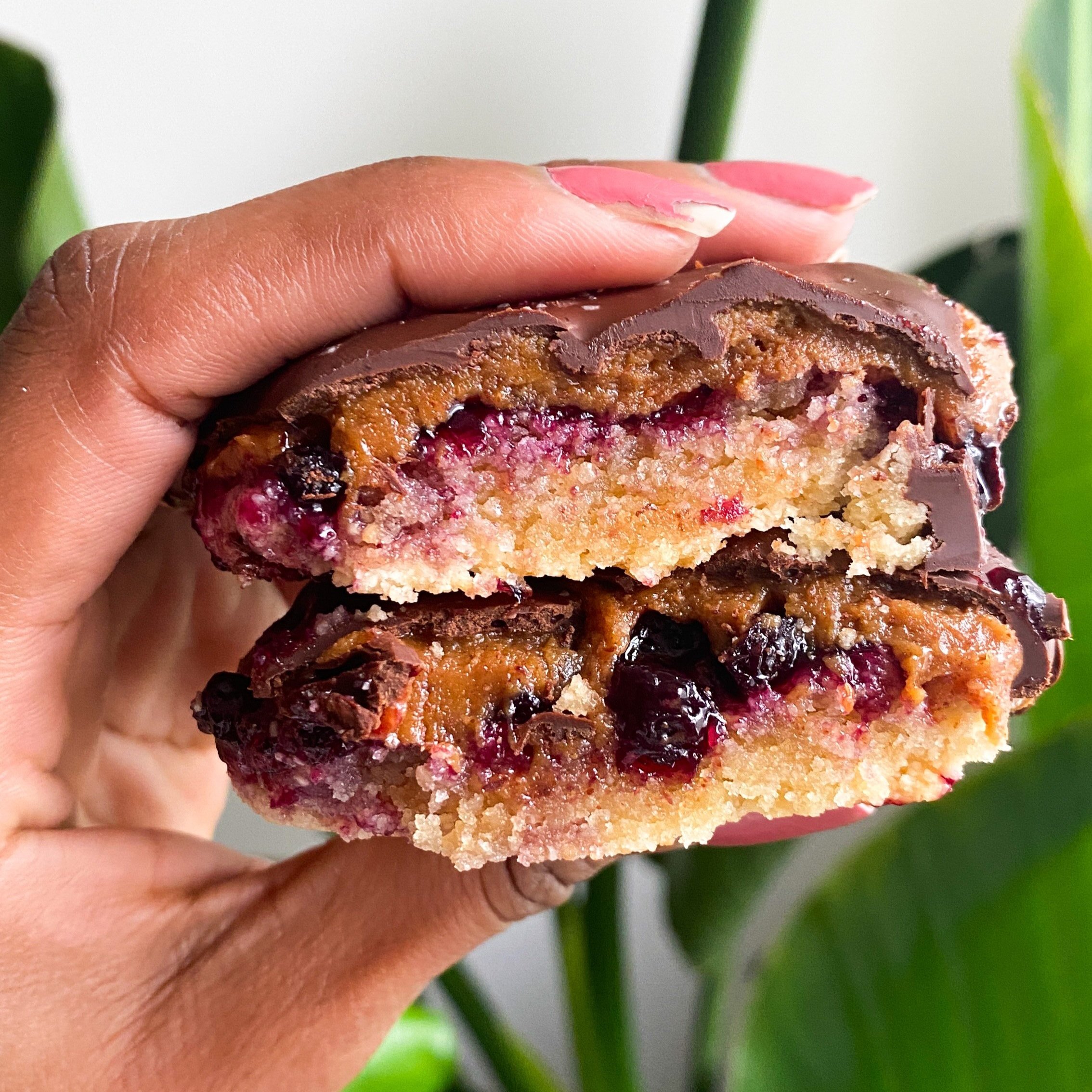 Peanut Butter and Jelly Cookies