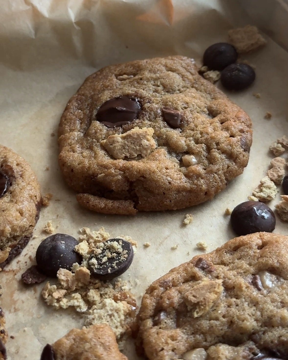 Brown Butter Graham Cracker Chocolate Chip Cookies